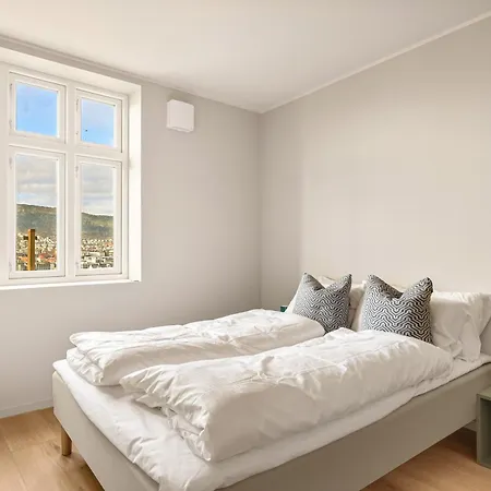 Lejlighed Panorama - View In L 2br & Terrace Bergen