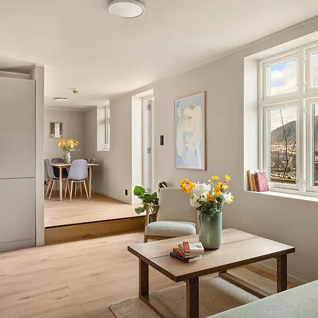 Lejlighed Panorama - View In L 2br & Terrace Bergen